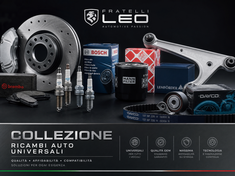 Ricambi Universali Auto | Fratelli Leo cover image