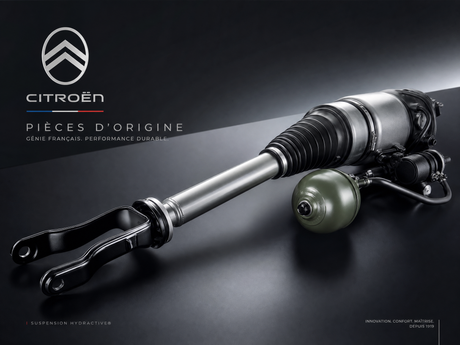 Citroën Ricambi Originali OEM | Fratelli Leo cover image